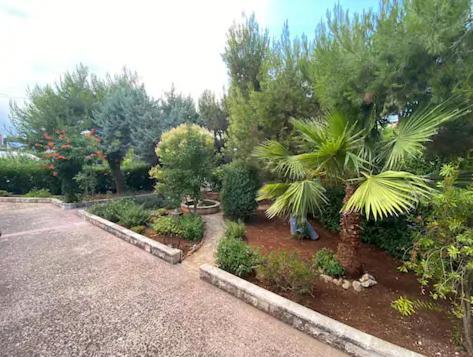 Villa Adelaide Ceglie Messapica Extérieur photo
